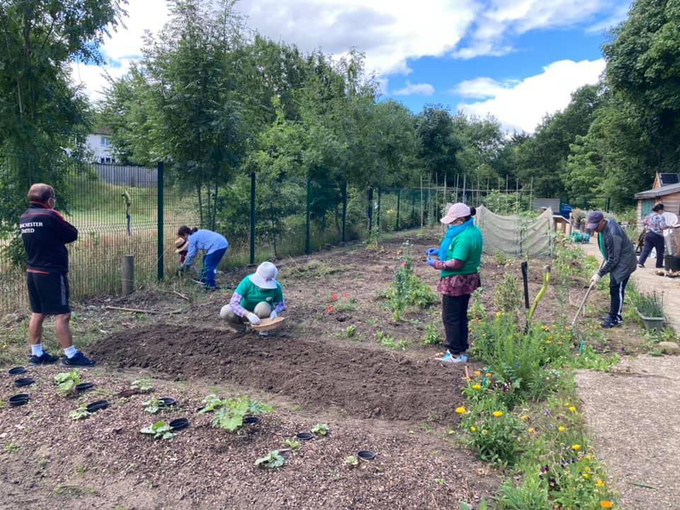 Good News Page— Hawley Community Garden Rushmoor Voluntary Services